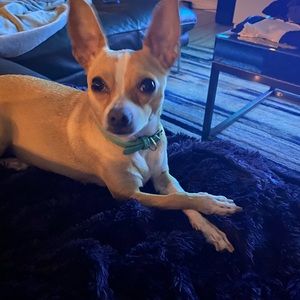 Meet your Posher, Brian